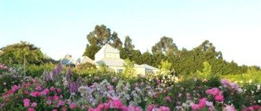 รูปสถานที่จัดงาน