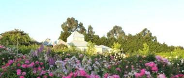 The Tangled Maze in Ballarat, AU