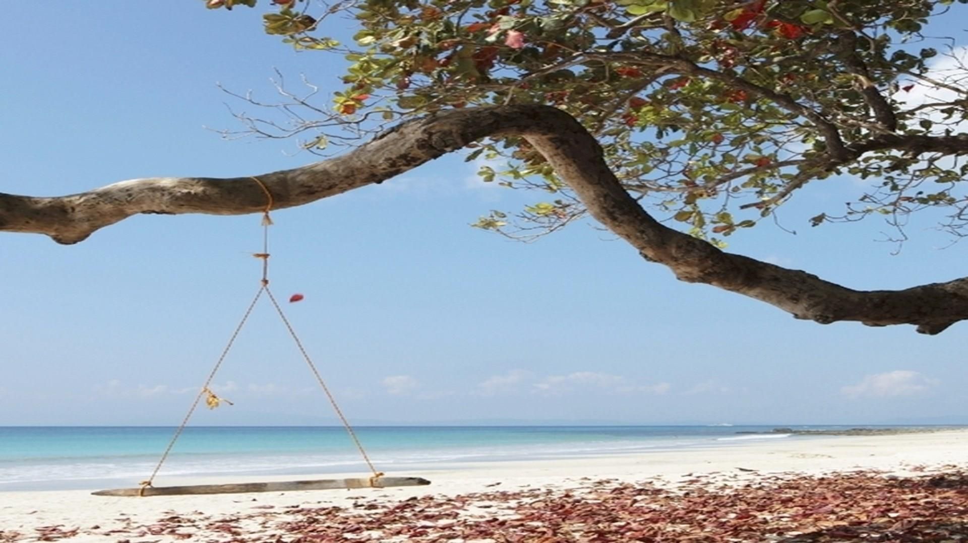 Изображение места проведения