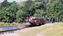 Lufkin Convention & Visitors Bureau a Lufkin, TX