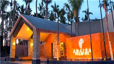 Araiza Palmira image