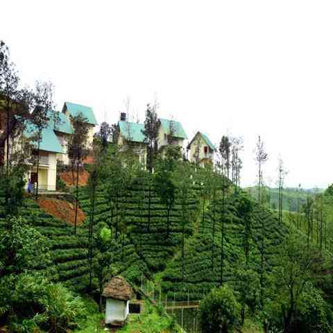 Winter Vale Green Stay en Kottayam, IN
