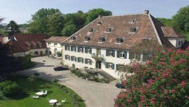 Hotel Schloss Heinsheim image