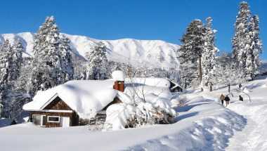 Heevan Retreat Gulmarg em Gulmarg, IN