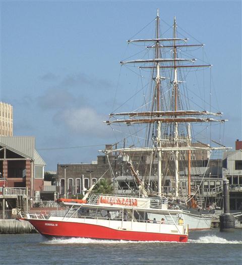 Harbor Dolphin Tours