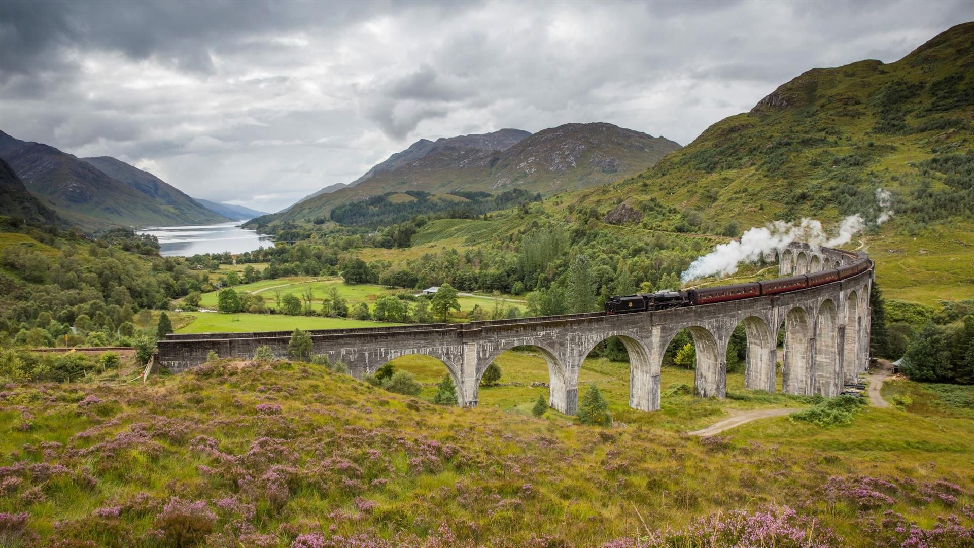 Изображение места проведения