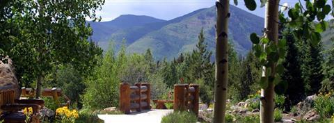 Betty Ford Alpine Gardens