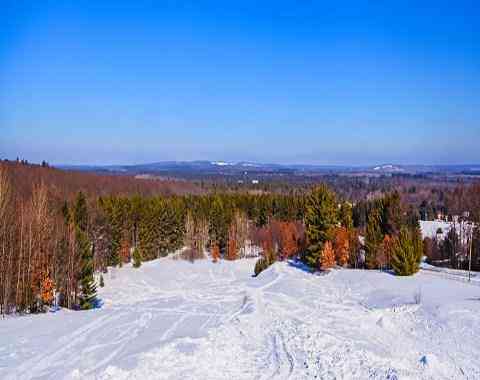 Houghton Lake Area Tourism & Convention Bureau em Houghton Lake, MI