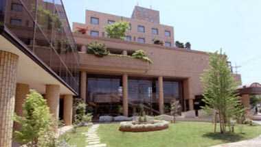 Sakado Grand Hotel a Sakado, JP