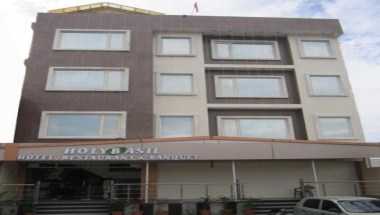 Holy Basil en Haridwar, IN