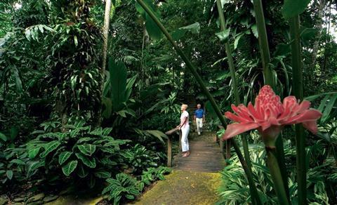 Cairns Botanical Garden