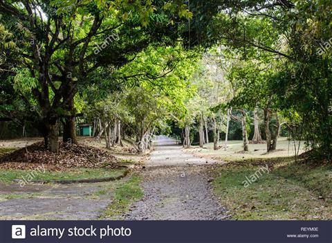Parque Metropolitano