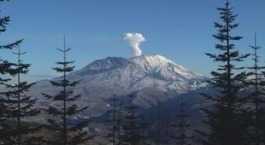 Cowlitz County Tourism Bureau a Longview, WA