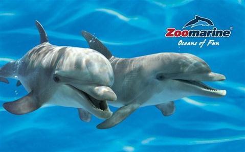 Zoomarine