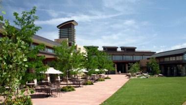 The Wildlife Experience Art Gallery image