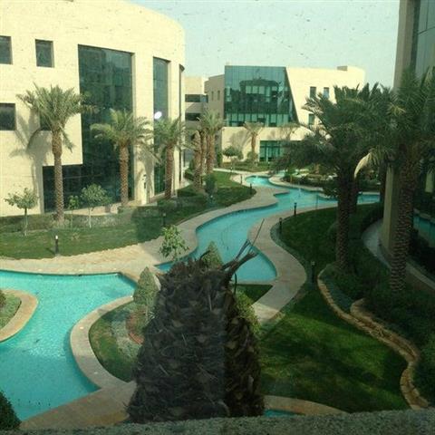 Бизнес-ворота