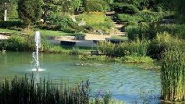 Afbeelding van locatie