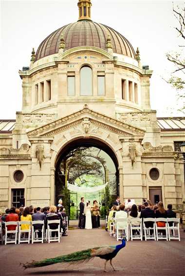 Bronx Zoo в New York, NY