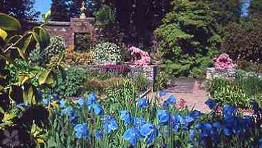 Rowallane Garden in Ballynahinch, GB4