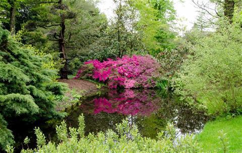 Arboreto Trompenburg
