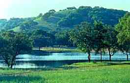 Kerrville Convention & Visitors Bureau à Kerrville, TX