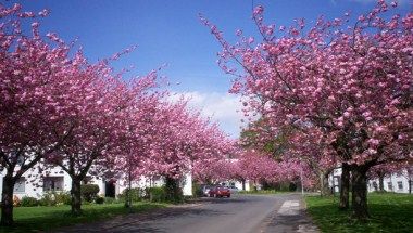 รูปสถานที่จัดงาน