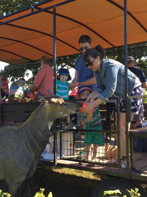 日内瓦湖野生动物园