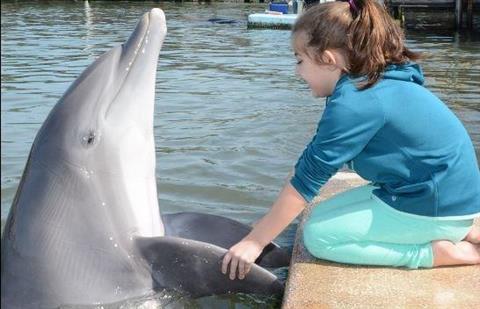 Delphinforschungszentrum