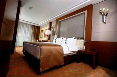 Holiday Inn Ankara - Kavaklidere в Анкара, TR