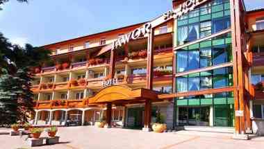 Jawor Spa Hotel, Bielsko-Biala, PL