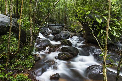 Phu Quoc nationalpark