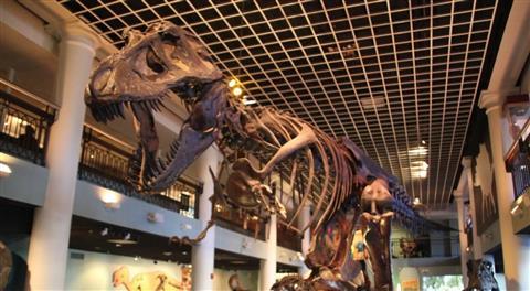 Academy of Natural Sciences