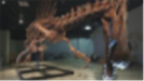 National Geographic Museum