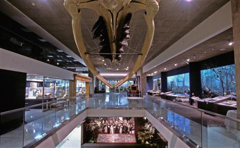 Openbaar museum van Milwaukee