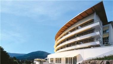 Schwarzwald Panorama image