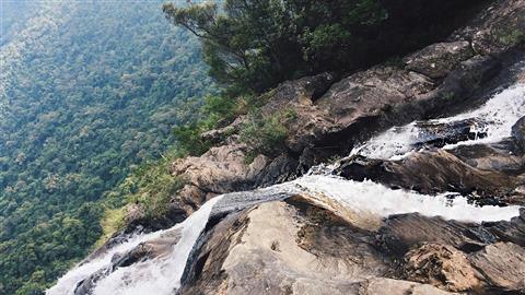 Bach Ma National Park Tour