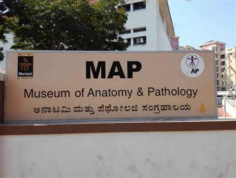Museum of Anatomy & Pathology