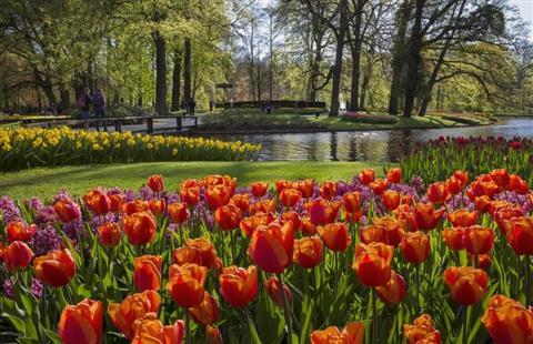 Keukenhof (botanical garden)