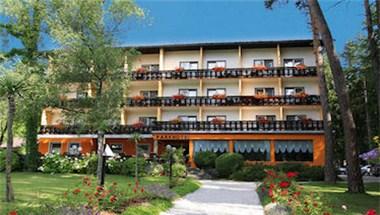 Parkhotel Zuzek image