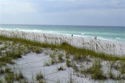Henderson Beach State Park