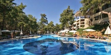 Изображение места проведения