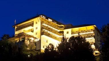 Hotel Berghof-Brunner image