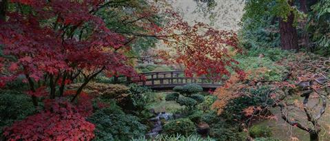 Portland Japanese Garden