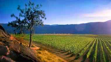 Sumac Ridge Estate Winery en Summerland, BC