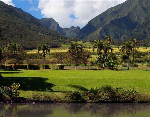 Maui Tropical Plantation