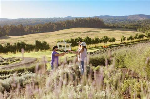 Alii Kula Lavender Farm