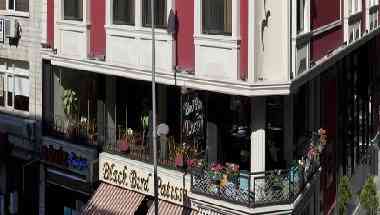 Black Bird Hotel in Istanbul, TR