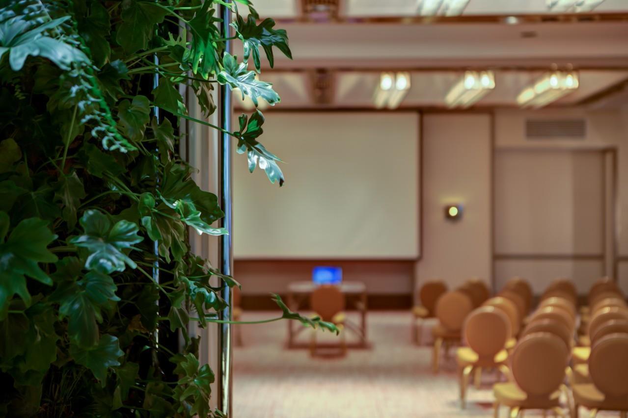 Imagen de la sala de reuniones