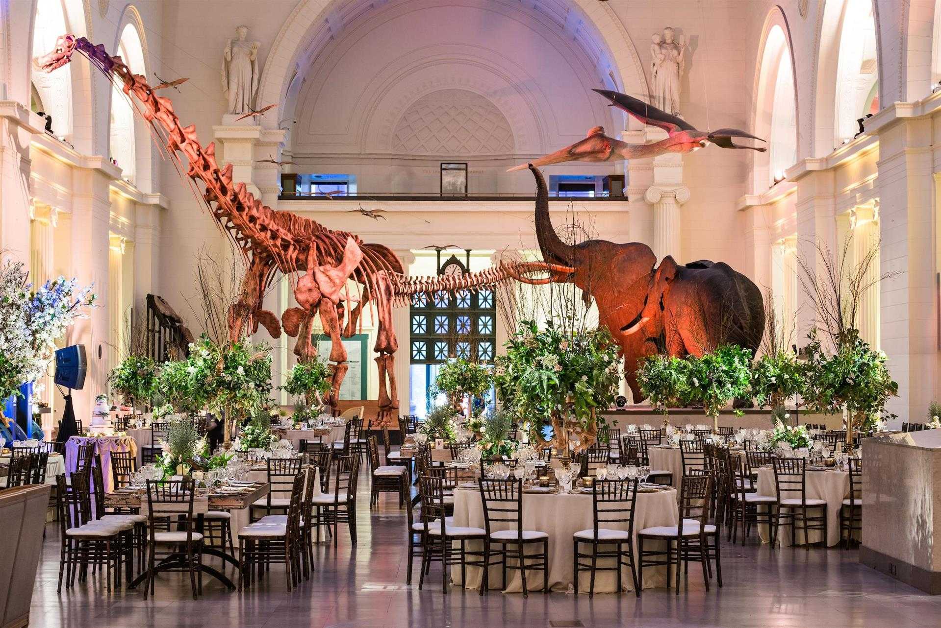 Field Museum i Chicago, IL