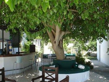 Bild des Veranstaltungsortes